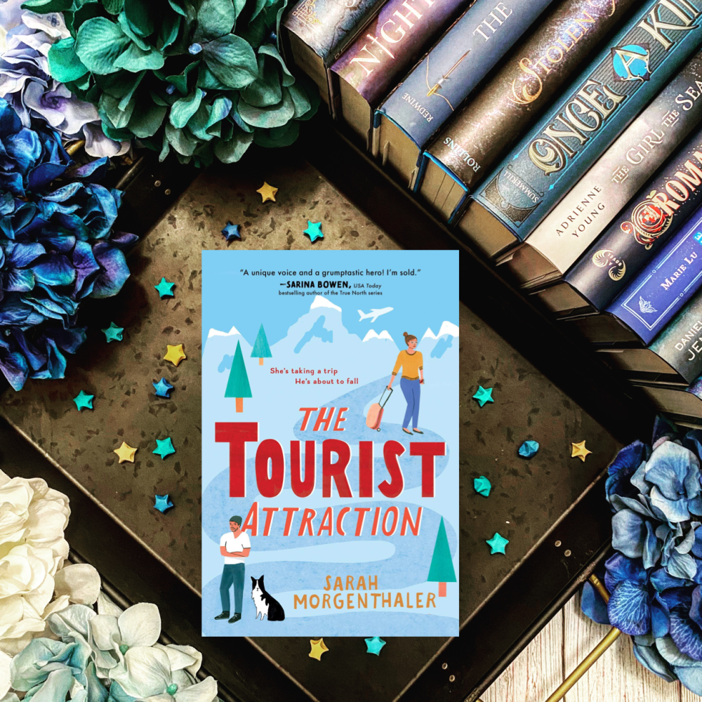 the tourist attraction book series